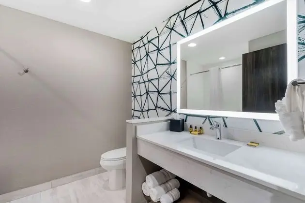 Standard Oda, 1 En Büyük (King) Boy Yatak, Sigara İçilmez (Walk-in Shower)