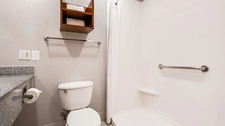 Süit, 1 En Büyük (King) Boy Yatak, Sigara İçilmez (Walk-in Shower;with Sofabed)
