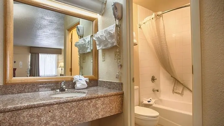 Standard Oda, 1 En Büyük (King) Boy Yatak, Sigara İçilmez, Buzdolabı ve Mikrodalga (Pet Friendly)