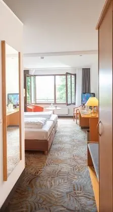 Standard Oda, 1 Çift Kişilik Yatak (Converts to 2 Twin Beds)