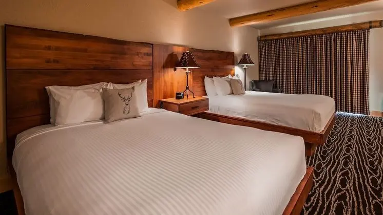 Standard Oda, 2 Büyük (Queen) Boy Yatak, Sigara İçilmez, Buzdolabı ve Mikrodalga (Pet Friendly)