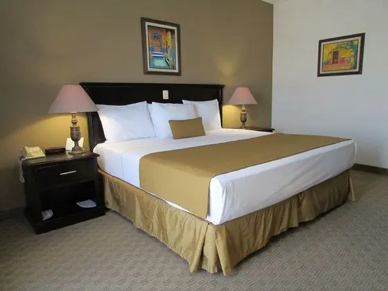 Standard Oda, 1 En Büyük (King) Boy Yatak, Sigara İçilmez