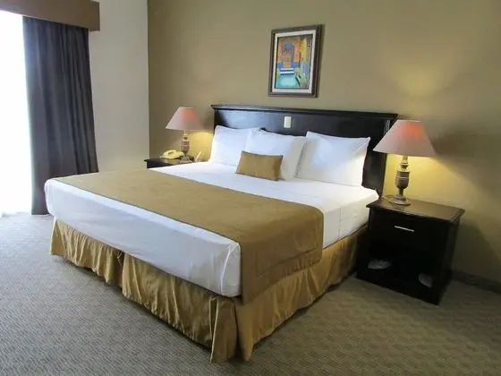 Standard Oda, 1 En Büyük (King) Boy Yatak, Sigara İçilmez