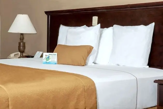 Standard Oda, 1 En Büyük (King) Boy Yatak, Sigara İçilmez