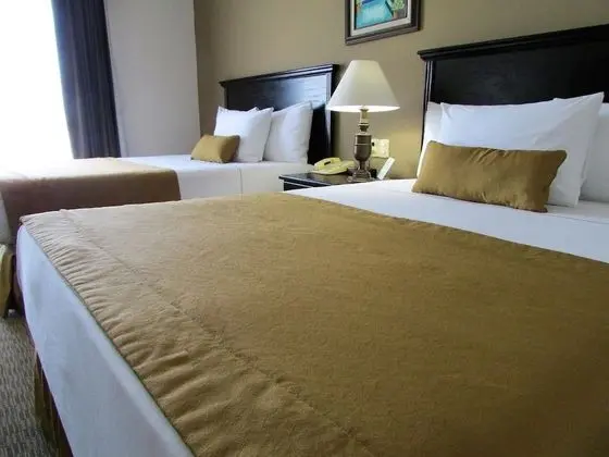 Standard Oda, 2 Çift Kişilik Yatak, Sigara İçilmez