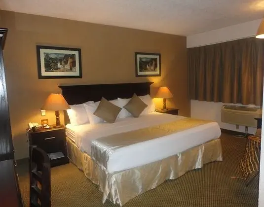 Standard Oda, 1 En Büyük (King) Boy Yatak, Sigara İçilebilir