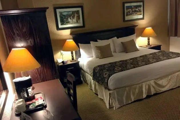 Standard Oda, 1 En Büyük (King) Boy Yatak, Sigara İçilmez