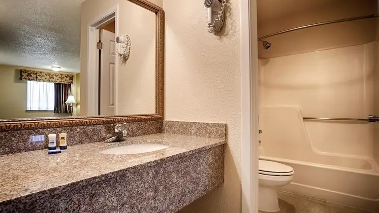 Standard Oda, 1 En Büyük (King) Boy Yatak, Sigara İçilmez, Buzdolabı ve Mikrodalga (Shower Only)