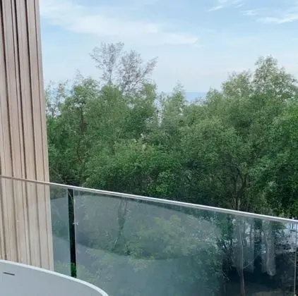 Executive Oda, 1 Çift Kişilik Yatak, Sigara İçilmez, Balkon