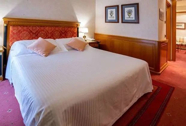 Deluxe Oda, Birden Çok Yatak, Sigara İçilmez (Converts to 2 Twin Beds)