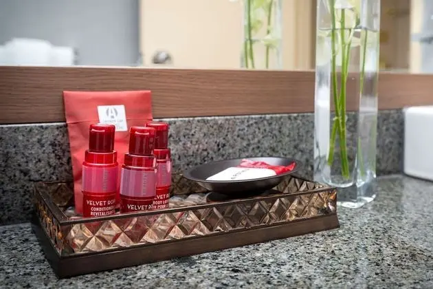 Süit, 2 Çift Kişilik Yatak, Sigara İçilmez, Balkon (with Sofabed)