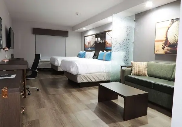 Süit, Birden Çok Yatak, Sigara İçilmez (with Sofabed)
