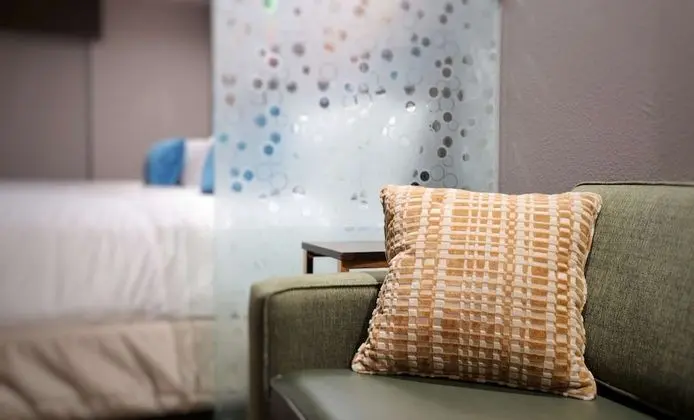 Süit, Birden Çok Yatak, Sigara İçilmez (with Sofabed)