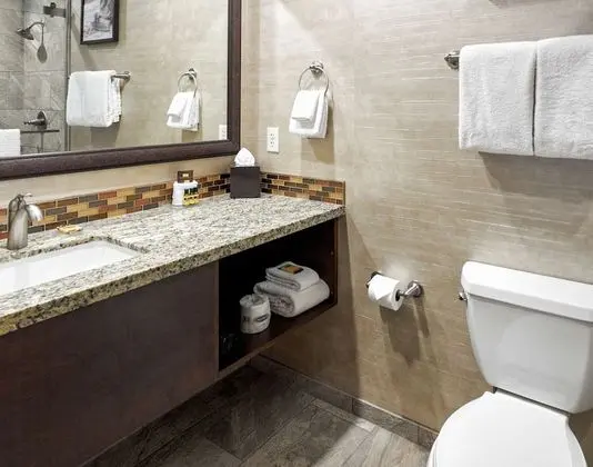 Standard Oda, 1 En Büyük (King) Boy Yatak, Sigara İçilmez, Buzdolabı ve Mikrodalga (Small Room)