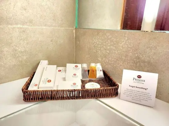 Executive Oda, 1 En Büyük (King) Boy Yatak, Sigara İçilmez, Şehir Manzaralı (with Extra Bed)