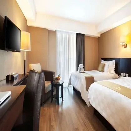 Deluxe Oda, 2 Tek Kişilik Yatak, Sigara İçilmez, Şehir Manzaralı