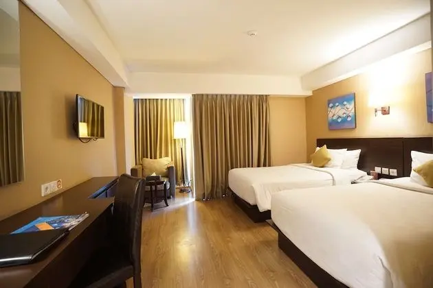Deluxe Oda, 2 Tek Kişilik Yatak, Sigara İçilmez, Şehir Manzaralı