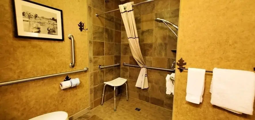 Standard Oda, 1 En Büyük (King) Boy Yatak, Engellilere Uygun, Balkon (with Sofabed)