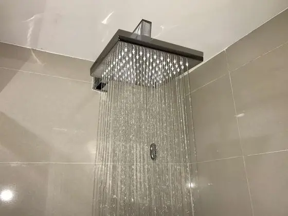 Deluxe Oda, 2 Çift Kişilik Yatak, Sigara İçilmez, Kısmi Deniz Manzarası