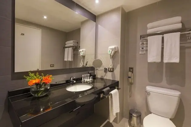 Standard Oda, 1 En Büyük (King) Boy Yatak, Sigara İçilmez, Balkon