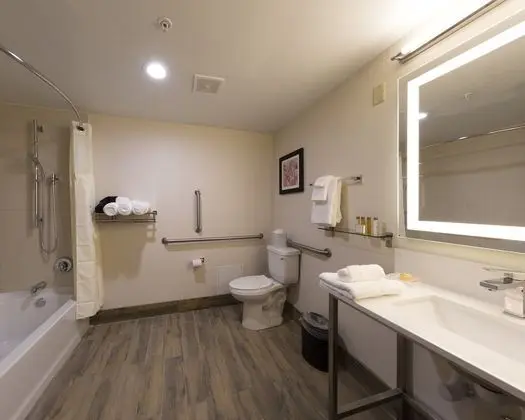 Standard Oda, 1 En Büyük (King) Boy Yatak, Engellilere Uygun (Access Tub)