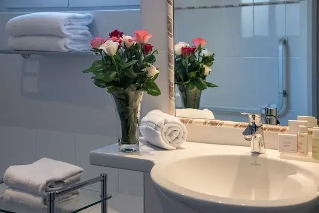 Superior Tek Büyük Yataklı Oda, Şehir Manzaralı