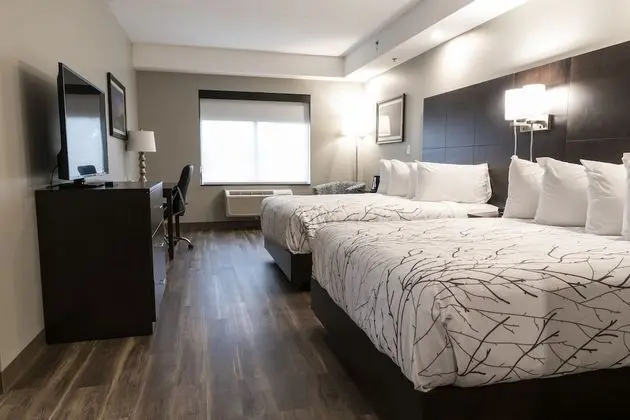 Standard Oda, 2 Büyük (Queen) Boy Yatak, Engellilere Uygun, Sigara İçilmez