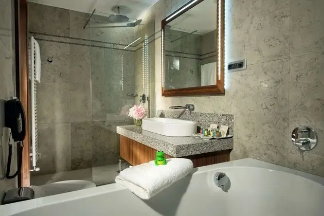 Deluxe Oda, 1 En Büyük (King) Boy Yatak (Walk-in Shower;Superior;with Sofabed)