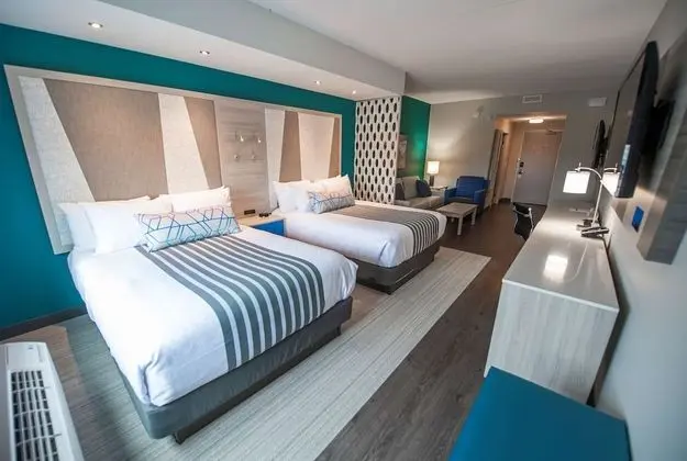 Standard Stüdyo, Birden Çok Yatak, Sigara İçilmez, Buzdolabı ve Mikrodalga (with Sofabed)