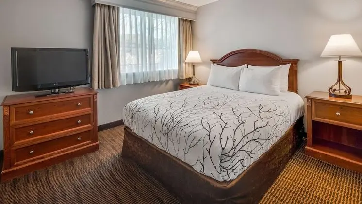 Süit, Birden Çok Yatak, Sigara İçilmez, Balkon (with Sofabed)