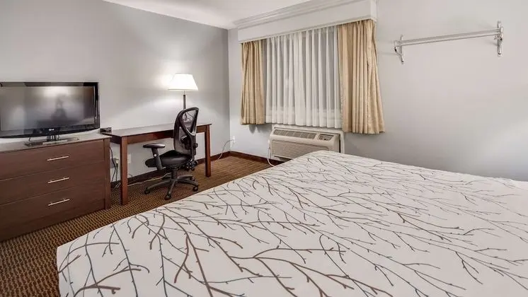 Süit, Birden Çok Yatak, Sigara İçilmez, Balkon (with Sofabed)