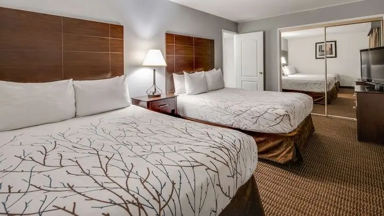 Süit, Birden Çok Yatak, Sigara İçilmez, Balkon (with Sofabed)