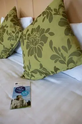 Superior Oda, 1 Çift Kişilik Yatak, Sigara İçilmez