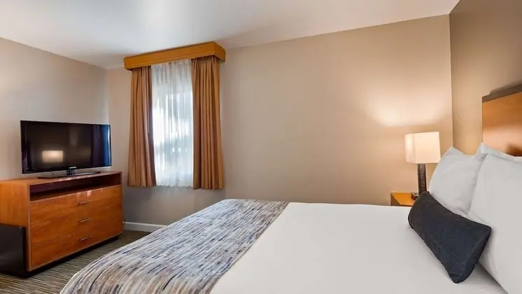 Standard Oda, 1 En Büyük (King) Boy Yatak, Sigara İçilmez, Buzdolabı ve Mikrodalga (Pet Friendly)