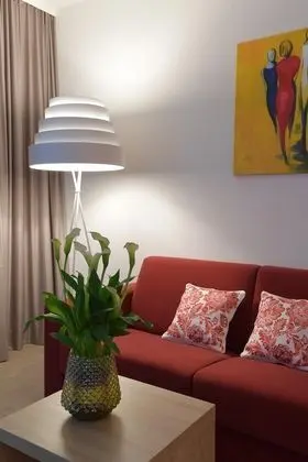 Deluxe Oda, 1 Çift Kişilik Yatak, Küçük Mutfak
