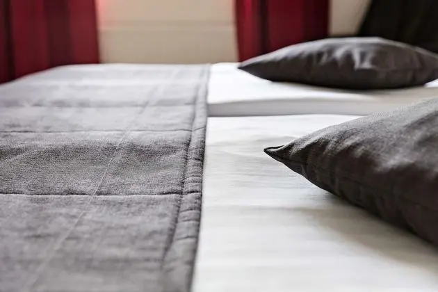 Standard Oda, Birden Çok Yatak, Sigara İçilmez (with Sofabed)