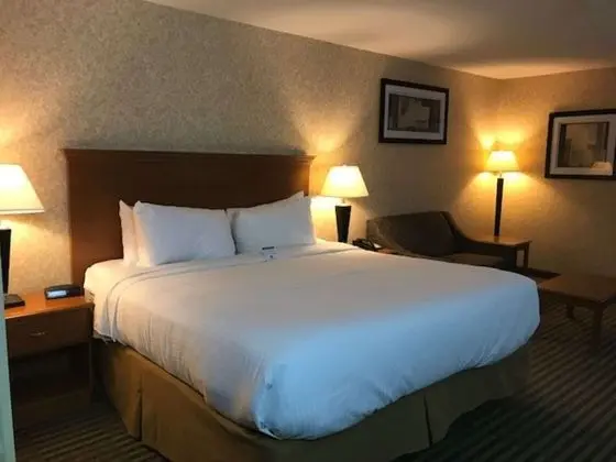 Standard Oda, 1 En Büyük (King) Boy Yatak, Engellilere Uygun, Sigara İçilmez