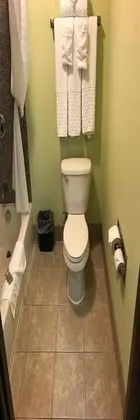 Süit, 1 En Büyük (King) Boy Yatak, Engellilere Uygun, Küçük Mutfak (with Sofabed)