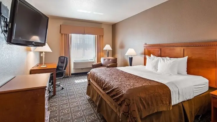 Standard Oda, 1 En Büyük (King) Boy Yatak, Sigara İçilmez (No Pets in room type)