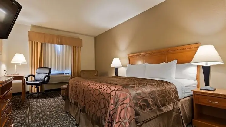 Standard Oda, 1 En Büyük (King) Boy Yatak, Sigara İçilmez (No Pets in room type)