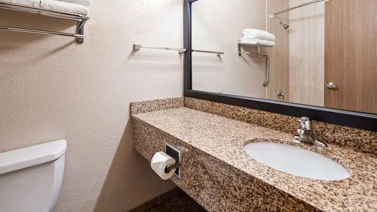 Standard Oda, 1 En Büyük (King) Boy Yatak, Sigara İçilmez (No Pets in room type)
