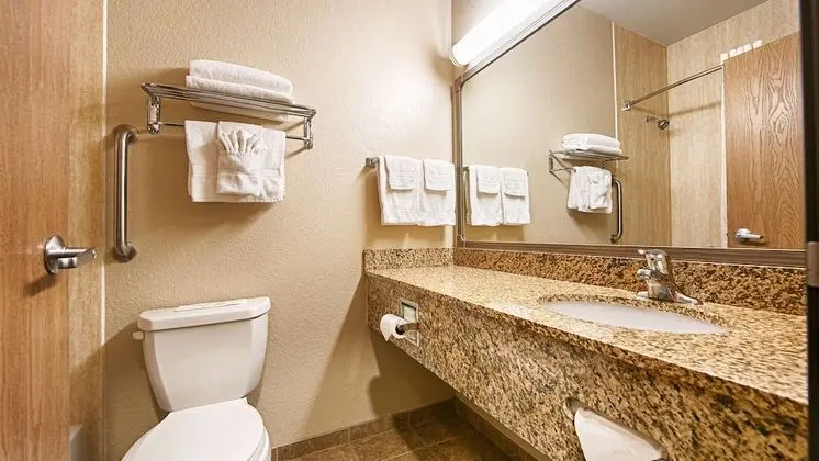 Standard Oda, 1 En Büyük (King) Boy Yatak, Sigara İçilmez (No Pets in room type)
