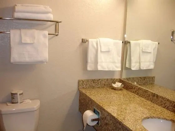 Standard Oda, 1 En Büyük (King) Boy Yatak, Sigara İçilmez (No Pets in room type)