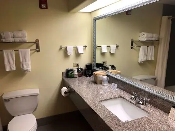 Standard Oda, 2 Büyük (Queen) Boy Yatak, Sigara İçilmez, Buzdolabı ve Mikrodalga