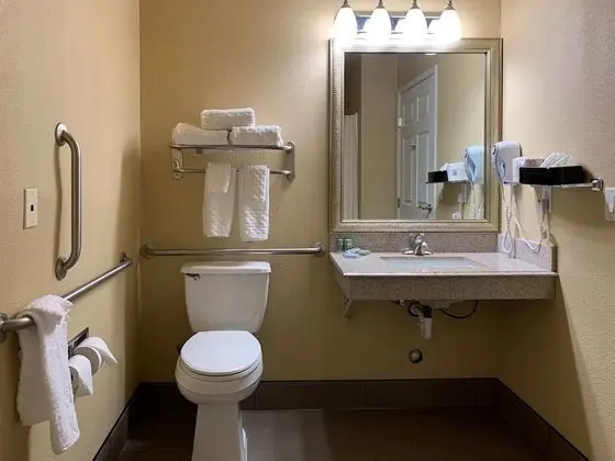 Oda, 2 Büyük (Queen) Boy Yatak, Engellilere Uygun, Sigara İçilmez (Accessible Tub)