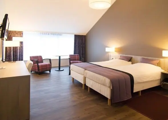 Deluxe Oda, 2 Tek Kişilik Yatak, Sigara İçilmez