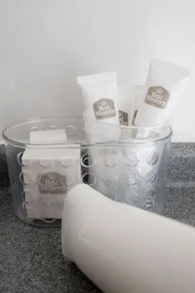 Deluxe Oda, 2 Tek Kişilik Yatak, Sigara İçilmez