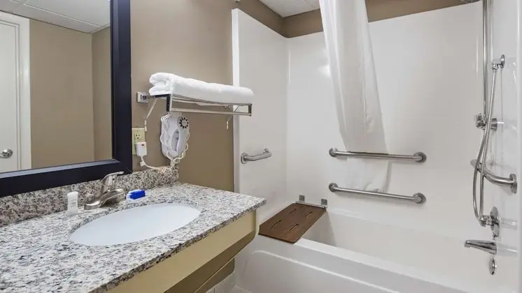 Standard Oda, 1 En Büyük (King) Boy Yatak, Engellilere Uygun, Sigara İçilmez (Walk-in Shower)