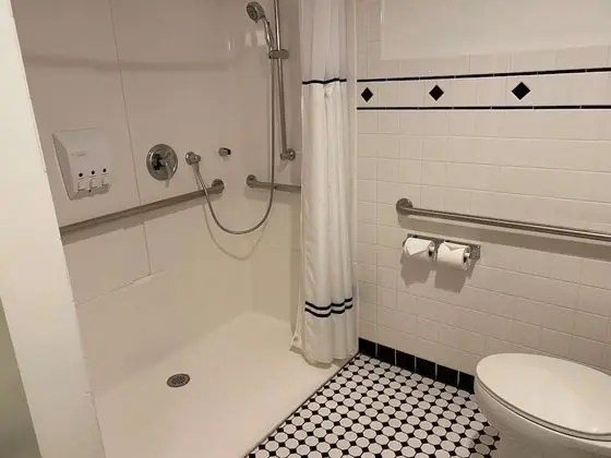 Deluxe Süit, 1 En Büyük (King) Boy Yatak, Engellilere Uygun (Walk-in Shower;with Sofabed)