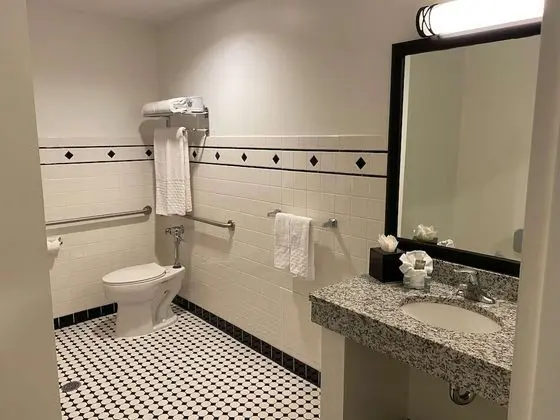 Deluxe Süit, 1 En Büyük (King) Boy Yatak, Engellilere Uygun (Walk-in Shower;with Sofabed)